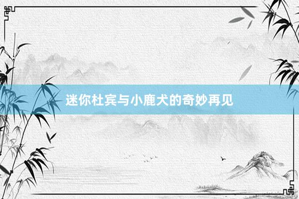 迷你杜宾与小鹿犬的奇妙再见